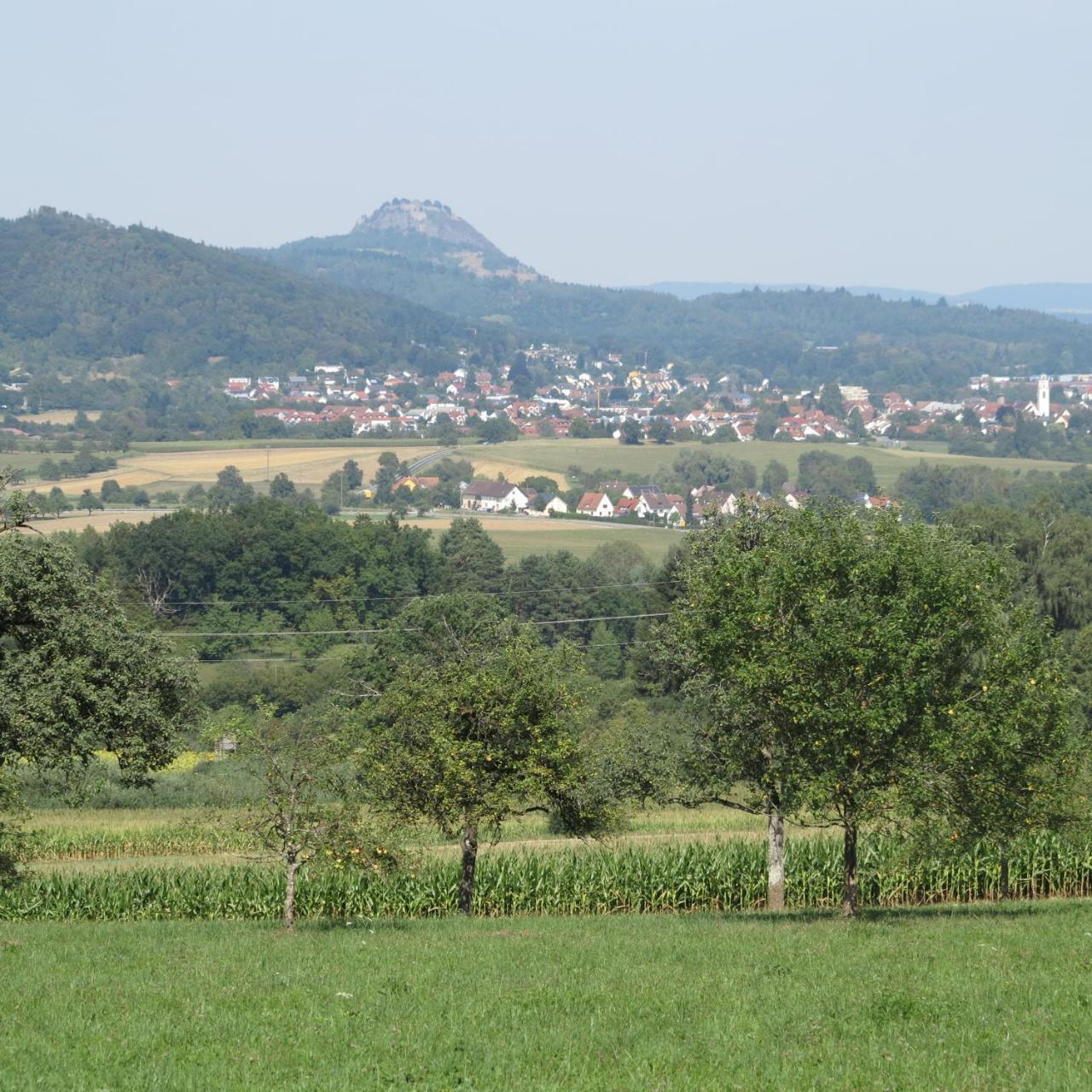 Bodensee Hegau Gottmadingen Extérieur photo